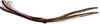 Ovipositor: Goniagnathus rugulosus, 2nd valvulae (INHS). (Observation).