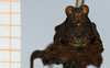 CollectionObject 1585249; e4aa2182-69e9-48cc-9056-303dcadb2b23: female, frontal view (syntype). (CollectionObject).
