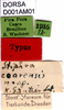 CollectionObject 1582223; 0fb9134a-4bf7-455c-ad48-7ba3a6f7f3fb: labels (syntype). (CollectionObject).