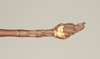 CollectionObject 1560519; NHMUK(SF IMPORT DUPLICATE) BM844505, 22397167-941f-4a7e-a111-6bfa3f0ee6cb: copyright Natural History Museum, London. male: end of abdomen, dorsal view (holotype). (CollectionObject).