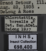 Other: !! display not done !! on Chlorotettix borealis Sanders & DeLong, 1917: Labels. (Observation).