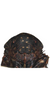 Head: !! display not done !! on Goniagnathus (Goniagnathus) brevis (Herrich-Schäffer, 1835): Head. (Observation).