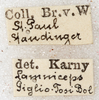 CollectionObject 1576557; 8d55a461-b6e6-477f-9612-240304d2ec3c: labels. (CollectionObject).