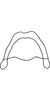 Connective on Anufrievia anchoroides Lin & Zhang, 2021: (Observation).