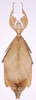 CollectionObject 1563794; c9f49ec7-324b-4302-8b63-77e530001e1f: copyright MSNG, Genoa. female (holotype). (CollectionObject).