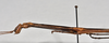 CollectionObject 1558581; 5094e634-967d-4141-83cf-733a7e174ce9: copyright NTUC. male: head and thorax, lateral view (syntype). (CollectionObject).;CollectionObject 1558582; 20db8149-d18d-4462-8167-11f604b61075: copyright NTUC. male: head and thorax, lateral view (syntype). (CollectionObject).