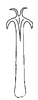 Aedeagus, posterior view on Carapona munia (DeLong & Freytag, 1975): Male holotype: aedeagus, posterior view. (Observation).