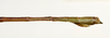 CollectionObject 1584632; 009aada2-dfd6-41dd-93a3-44be6e23e54a: (CollectionObject).