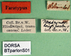 CollectionObject 1500600; 3adf78f3-0f67-44dd-ae31-9a0cdf0a694c: labels (syntype). (CollectionObject).
