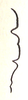 Coptacridia dorsalis Ramme, 1941: Fig. 47. outline of pronotum. (Otu).