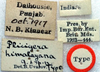 CollectionObject 1517224; 8fe2a923-e646-4df0-9948-1ca0383e52b4: labels (holotype). (CollectionObject).