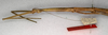 CollectionObject 1558820; ba524a32-7d70-4ae0-b212-f54c1dea57c8: copyright NMW, Vienna. female: head and thorax, lateral view (paralectotype). (CollectionObject).;CollectionObject 1558821; f1f8a63a-23b8-4de7-9d52-9662ab0e6060: copyright NMW, Vienna. female: head and thorax, lateral view (paralectotype). (CollectionObject).