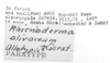 CollectionObject 1526824; 31472076-547c-427c-95ef-5b9bac53a247: labels. (CollectionObject).