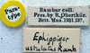CollectionObject 1520687; 85b53a5e-5735-46bc-ae53-f0986ec977d9: labels (paratype). (CollectionObject).