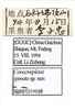 Other on Concaveplana spinata Chen & Li, 1998: (Observation).