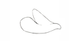 Boliviacris aberrans (Ronderos, 1979): Fig. 28. epiphallus, lateral view. (Otu).