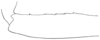Metaprosagoga insignis (Vignon, 1924): Fig. 91 (specimen in MNHN Paris). female left forefemur, internal view (ventral margin at top). (Otu).