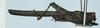 CollectionObject 1585214; bc8b33a9-d878-4ed6-8dde-fb1acedaf652: male, lateral view. (CollectionObject).