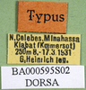 CollectionObject 1576308; b55c5b1e-b94d-4528-8bab-05eeb2b6ee83: labels (paratype). (CollectionObject).