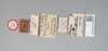 CollectionObject 1519635; af680be9-8650-43a6-911b-15315c126313: labels (holotype). (CollectionObject).