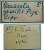CollectionObject 1542791; b08f99c3-2280-468f-bdf6-729ace0da68d: male, labels (holotype). (CollectionObject).