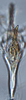 Aedeagus, ventral view: (Observation).