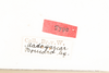 CollectionObject 1531305; a1cc15af-0db5-49c5-8bf9-5d9f54176488: female, labels (syntype). (CollectionObject).