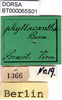 CollectionObject 1502717; 0c99e76a-1bd7-4b36-b92d-10297da655f8: labels. (CollectionObject).