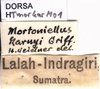 CollectionObject 1507255; 2d41d067-ee7b-46f0-a407-e651ecd74f39: labels. (CollectionObject).