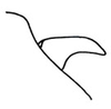 Pamphagodes riffensis Bolívar, 1878: Fig. 3. male cercus, lateral view. (Otu).