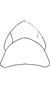 Head on Dikrella (Dikrella) californica (Lawson, 1930): Head and thorax. (Observation).