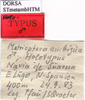 CollectionObject 1530694; DORSA STmetambHTM, b7cf199a-46ab-427a-9556-727f68ec9413: male labels (holotype). (CollectionObject).