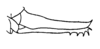 Ceuthophilus (Ceuthophilus) divergens Scudder, 1862: Fig. 155. ovipositor (paratype of sullei, New Orleans, LA). (Otu).