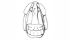 Coyacris brevipennis (Ronderos, 1979): Fig. 11. female, head, frontal view. (Otu).