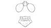 Heliastus infrequens Otte, 1984: Head and pronotum, Fig. 37C. (Otu).