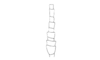Locheuma brunneri (Scudder, 1875): Fig. 38. antenna. (Otu).