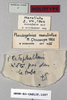 CollectionObject 1540553; b4c80342-978f-4797-90d2-6b33c44ffec1: labels (holotype). (CollectionObject).