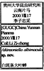 Other on Atkinsoniella albimacula Yang & Li, 2002: (Observation).
