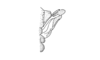 Atopacris manabiensis Amédégnato & Poulain, 1998: Fig. 55. Aedeagus (lateral view). (Otu).
