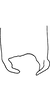 Anal tube processes: Anal tube process. (Observation).