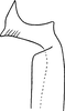 Stylus: !! display not done !! on Erasmoneura tricuspidata Dmitriev & Zahniser, 2017: apex. (Observation).