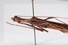 CollectionObject 1561796; ec67d5a5-6c60-4426-b322-87007169dd6f: copyright ZMHB, Berlin. male: head & thorax, lateral view (holotype). (CollectionObject).