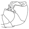 Euschmidtia burtti Descamps, 1964: Fig. 449. male abdomen tip, lateral view. (Otu).