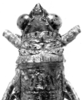 Karruia paradoxa Rehn, 1945: Fig. 3. female head and pronotum, dorsal view (holotype). (Otu).