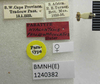 CollectionObject 1596690; 3547db5d-02d9-4e6e-8391-ebae1a8aaaae: Hyalonysius pallidomaculatus. Paratype. (BMNH) - (CC BY-NC 4.0) Photo by Stuart Cole, reproduced with permission from the Natural History Museum, London, UK. (CollectionObject).