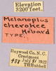 CollectionObject 1499442; 78ff5906-9538-4ab7-9339-9109f2f01087: labels (holotype). (CollectionObject).