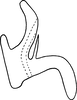 Aedeagus, lateral view on Erythridula magnacalx (Beamer, 1930): Aedeagus, lateral view. (Observation).