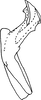 Aedeagus, lateral view on Anufrievia crispata Tan, Jiang & Song, 2021: (Observation).