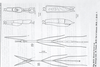 CollectionObject 1559632; 9f8ebd82-2b34-4388-b225-8fb4696804f3: copyright Paul D. Brock. male (holotype) & female (paratype). (CollectionObject).