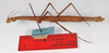 CollectionObject 1562377; ccd0cbd9-ce4b-429c-8a0b-2a2387320c7c: copyright MNHU, Berlin. female (paratype). (CollectionObject).